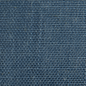 Mariposa Blue Shadow 416