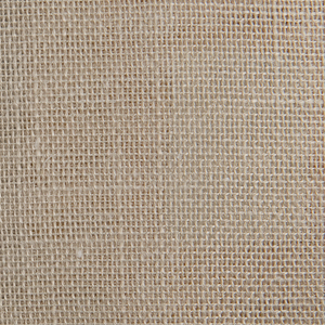 Mariposa Fog 029