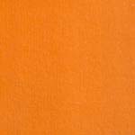 Velour d’Hollande 22008