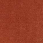 Velour d’Hollande 22200