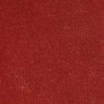 Velour d’Hollande 22408