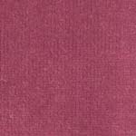 Velour d’Hollande 22900