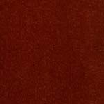 Velour d’Hollande 23607