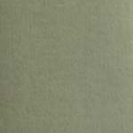 Velour d’Hollande 26079