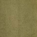 Velour d’Hollande 26226