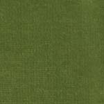 Velour d’Hollande 26280