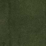 Velour d’Hollande 26320