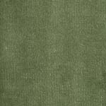 Velour d’Hollande 26425