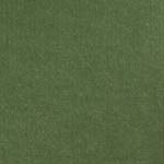 Velour d’Hollande 26608