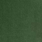 Velour d’Hollande 26610