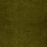 Velour d’Hollande 27223